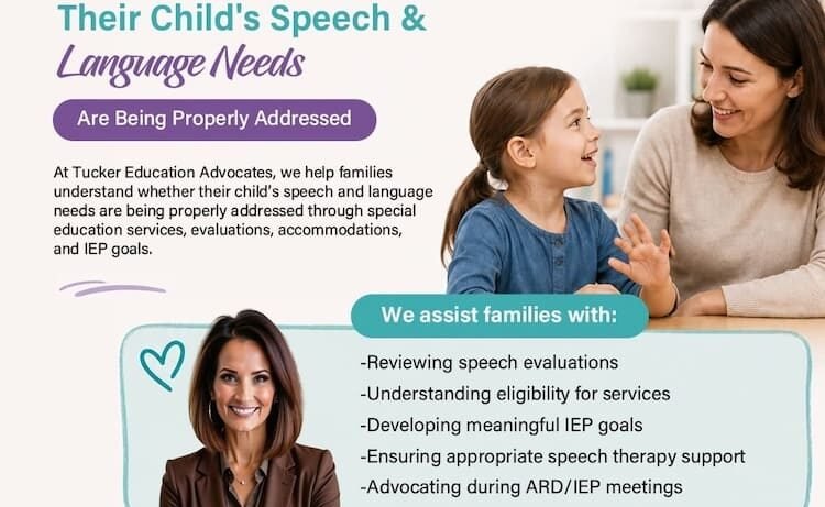 Special Education Advocate